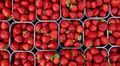 Red fruits.jpg