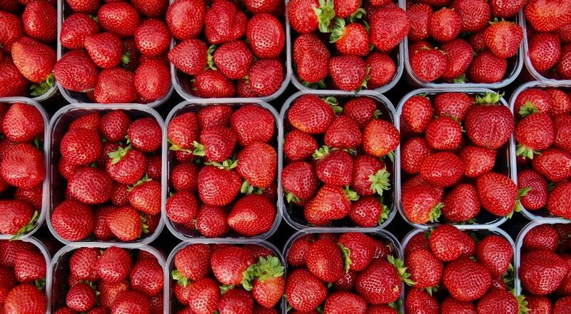 Αρχείο:Red fruits.jpg
