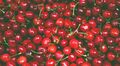 Original Red-cherries.jpg