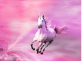 Pink-unicorn.png