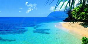 Hawaii-660.jpg